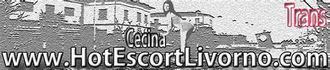 escort trans cecina|⚧️ Annunci Trans Cecina Annunci di Persone Trans o Escort。